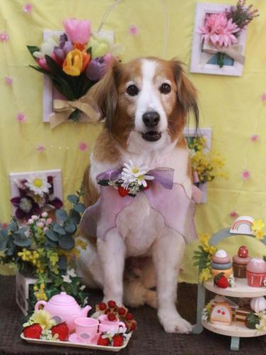 20230316レオくん